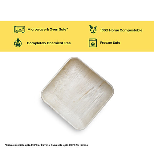 Envome 10'' Square Areca Leaf disposable Plate - Eco-Friendly, Lightweight, Leakproof, Chemical Free, 6 pcs