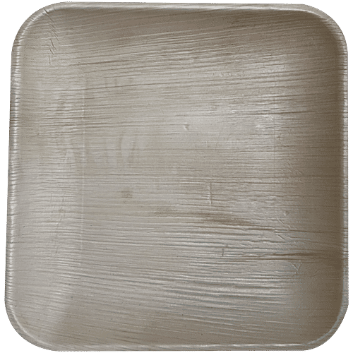 Envome 10'' Square Areca Leaf disposable Plate - Eco-Friendly, Lightweight, Leakproof, Chemical Free, 6 pcs