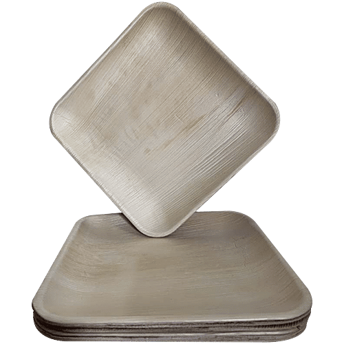 Envome 10'' Square Areca Leaf disposable Plate - Eco-Friendly, Lightweight, Leakproof, Chemical Free, 6 pcs