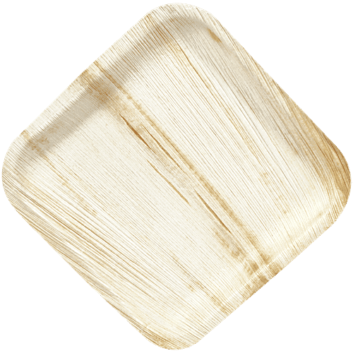 Envome 10'' Square Areca Leaf disposable Plate - Eco-Friendly, Lightweight, Leakproof, Chemical Free, 6 pcs