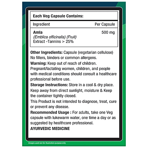 Nourishvitals Amla Vitamin C 500 mg Capsules - With Tannins > 25% Pure Herbs, Rich In Antioxidant, 60 pcs  