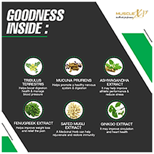 Buy MuscleXP Muscle Builder Sports Tablet For Strength & Performance Online at Best Price of