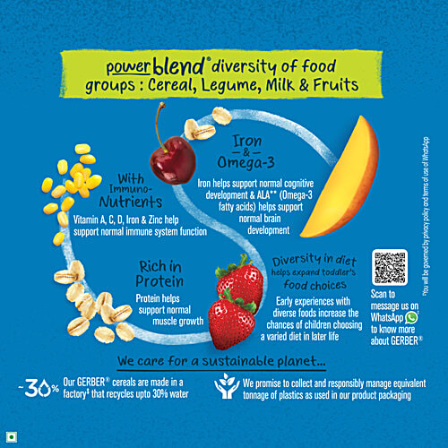 Gerber Cereals - Mango & Berry, 300 g Bag-In-Box 