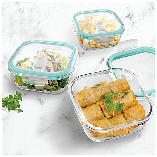 Treo Lunch Box - All Fresh Square Glass Tiffin Containers With Jacket, Grey BPA Free, 320 ml (Set of 3) 