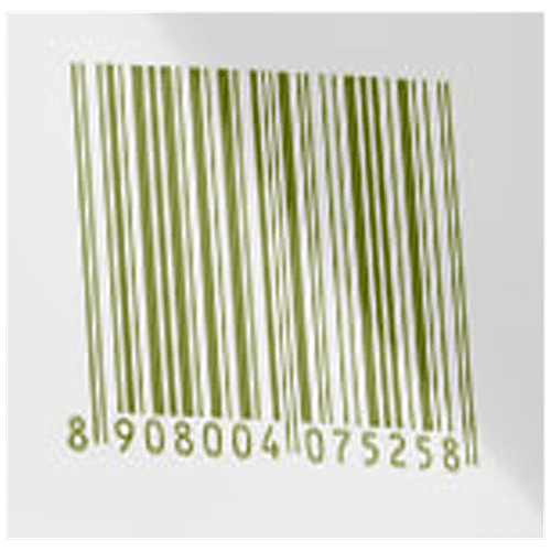 Gangaur Jau Atta - Fibre Rich, 1 kg  