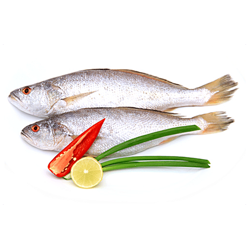 Buy fresho! Croaker Fish Medium, Whole & Uncleaned, Great Source Of