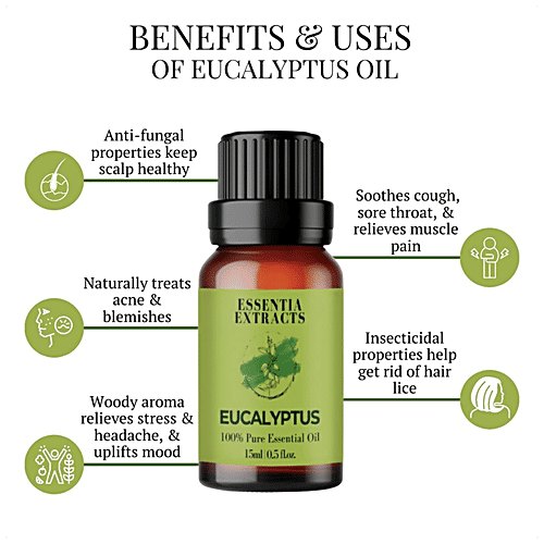 Buy ESSENTIA EXTRACTS Eucalyptus Essential Oil AntiInflammatory