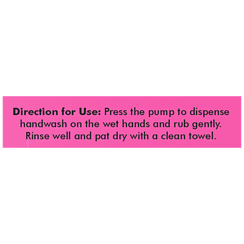 Duvon Disney Handwash - Berry Care, For Girl Kids, Paraben/Sulphate Free, Dermatologically Tested, 250 ml  