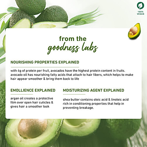 Plum Avocado & Argan Frizz Control Conditioner With Shea Butter, Smoothens & Nourishes Hair, 175 ml  