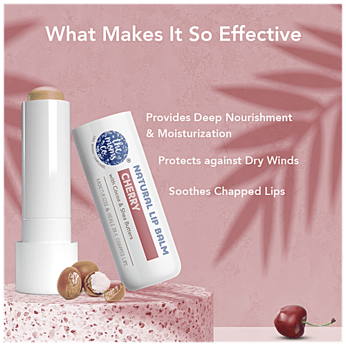 Buy The Moms Co Natural Lip Balm Cocoa & Shea Butter, Heals Dry