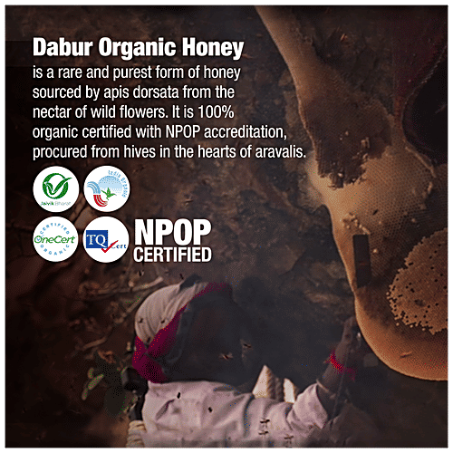 Dabur Organic Honey - Unprocessed & Unpasteurized , Sourced From Wild Forests, 600 g Jar