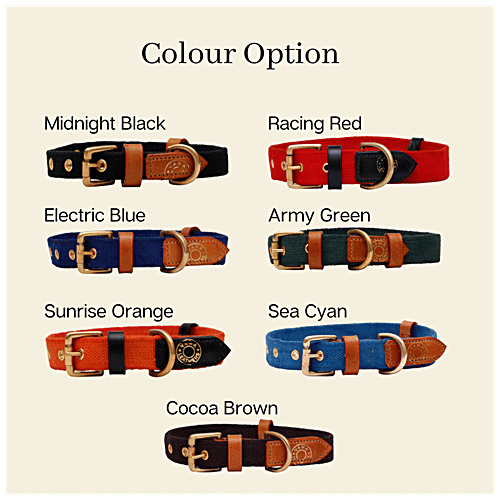 Vama Leathers Dog Cotton Collar - Eco-Friendly, Sweat Free, Fits 20-25" x 1.25", Cocoa Brown, 1 pc