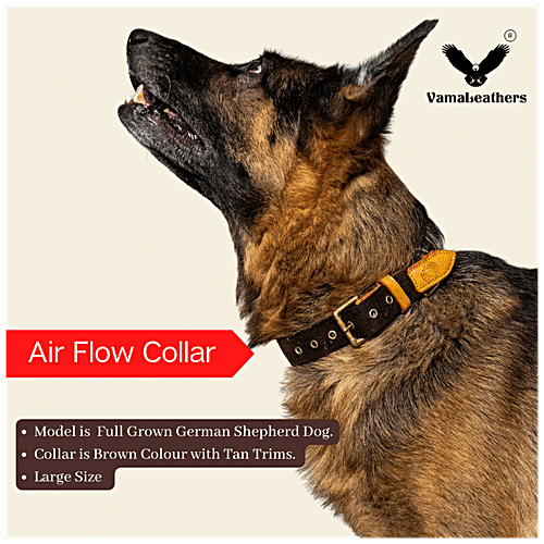 Vama Leathers Dog Cotton Collar - Eco-Friendly, Sweat Free, Fits 16-21" X 1", Cocoa Brown, 1 pc  