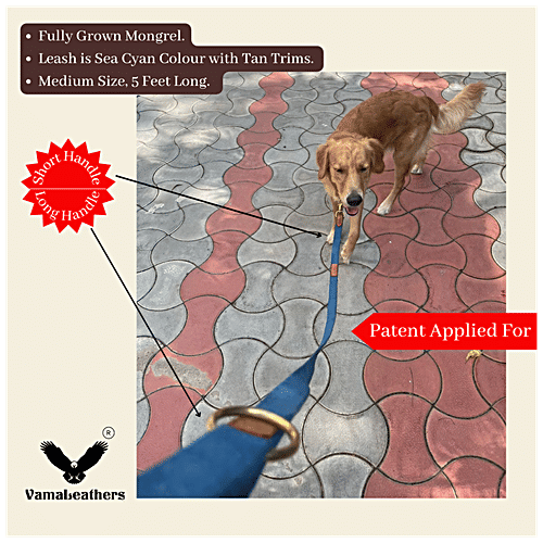 Vama Leathers Cotton Leash - Long & Short Handle, For Giant & Extra Large Dogs, Electric Blue, 1 pc