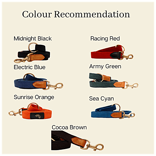 Vama Leathers Cotton Leash - Long & Short Handle, For Giant & Extra Large Dogs, Electric Blue, 1 pc