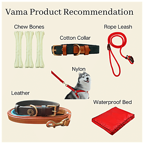 Vama Leathers Cotton Leash - Long & Short Handle, For Giant & Extra Large Dogs, Racing Red, 1 pc
