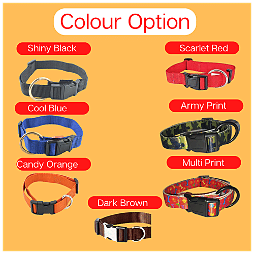 Vama Leathers Nylon Collar - Soft, Durable, For Cats, Puppy & Small Dogs, Fits 31-43 cm, Cool Blue, 1 pc  