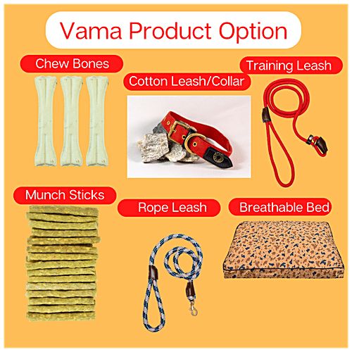 Vama Leathers Nylon Collar - Soft, Durable, For Cats, Puppy & Small Dogs, Fits 31-43 cm, Cool Blue, 1 pc  