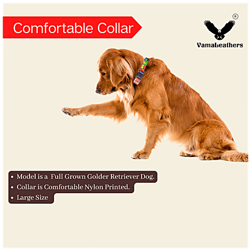 Vama Leathers Nylon Collar - Soft, Durable, For Medium & Large Dogs, Fits 41-53 cm, Scarlet Red, 1 pc  