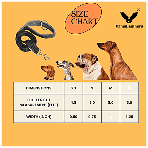 Vama Leathers Nylon Leash - Durable, For Large & XL Dogs, 3 cm x 152 cm, Midnight Black, 1 pc  