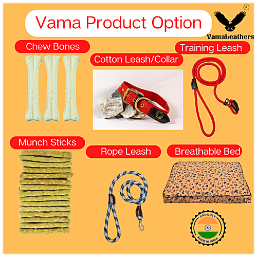 Vama Leathers Nylon Leash - Durable, For Large & XL Dogs, 3 cm x 152 cm, Midnight Black, 1 pc  