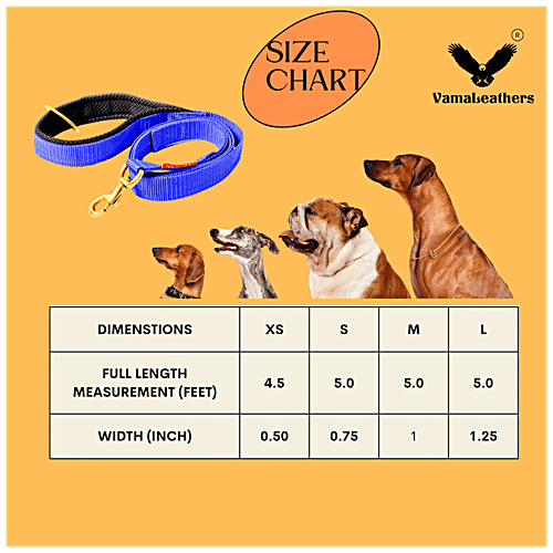 Vama Leathers Nylon Leash - Durable, For Large & Medium Dogs, 3 cm X 152 cm, Electric Blue, 1 pc  