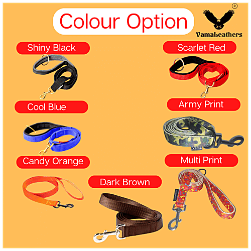 Vama Leathers Nylon Leash - Durable, For Large & Medium Dogs, 3 cm X 152 cm, Electric Blue, 1 pc  