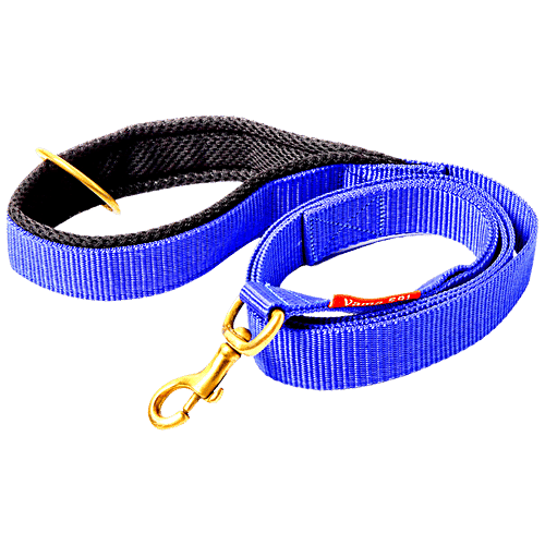 Vama Leathers Nylon Leash - Durable, For Large & Medium Dogs, 3 cm X 152 cm, Electric Blue, 1 pc  