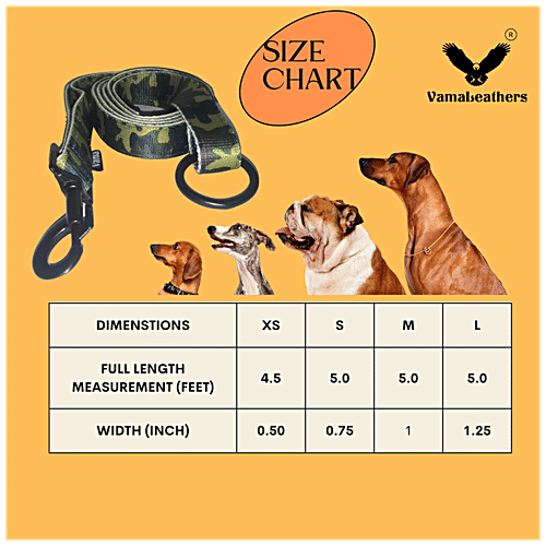 Vama Leathers Nylon Leash - Durable, For Cat, Puppy & Small Dogs, 2 cm X 152 cm, Army Green, 1 pc  