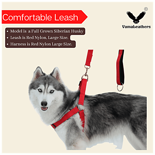 Vama Leathers Nylon Leash - Durable, For Cat, Puppy & Small Dogs, 2 cm X 152 cm, Army Green, 1 pc  
