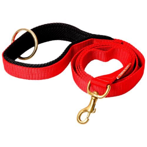 Buy Vama Leathers Nylon Leash - Durable, For Large & XL Dogs, 3 cm x 152  cm, Racing Red Online at Best Price of Rs 422.5 - bigbasket