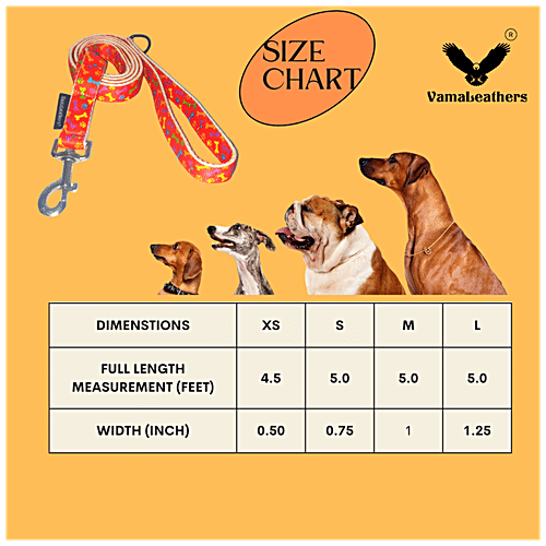 Vama Leathers Nylon Leash - Durable, For Large & XL Dogs, 3 cm x 152 cm, Bone Printed, 1 pc  