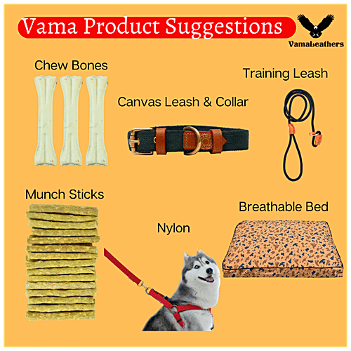 Vama Leathers Heavy Duty Rope Leash - Brass Hook, Durable, For Giant & XL Dogs, 5 Feet, 22 mm, 1 pc  