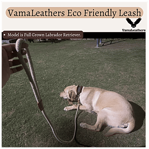 Vama Leathers Eco-Friendly Leash - Cotton & Jute, Brass Hook, For All Dog Breeds, 5 Feet, 12 mm, 1 pc  