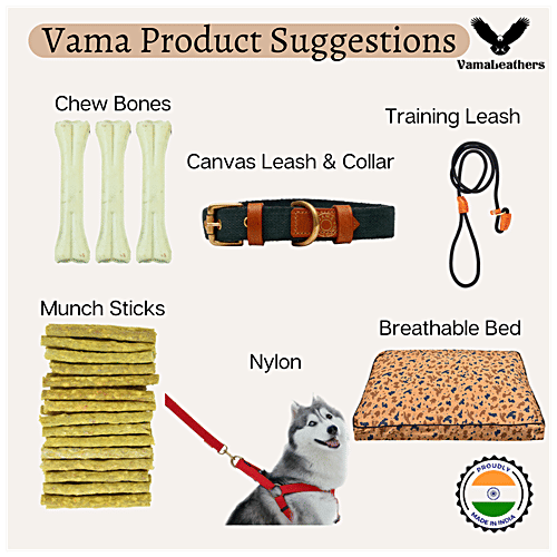 Vama Leathers Eco-Friendly Leash - Cotton & Jute, Brass Hook, For All Dog Breeds, 5 Feet, 12 mm, 1 pc  