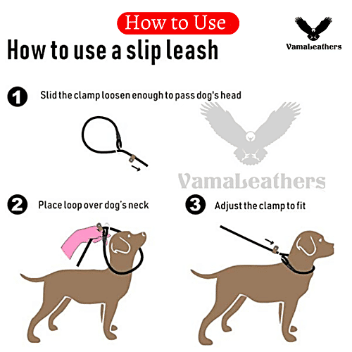 Vama Leathers Dog Training Slip Leash - Heavy Duty Rope, Brass Ring, 1 cm x 5 Feet, Shiny Black, 1 pc