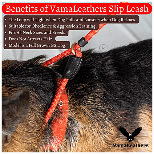 Vama Leathers Dog Training Slip Leash - Heavy Duty Rope, Brass Ring, 1 cm x 5 Feet, Cobalt Blue, 1 pc  