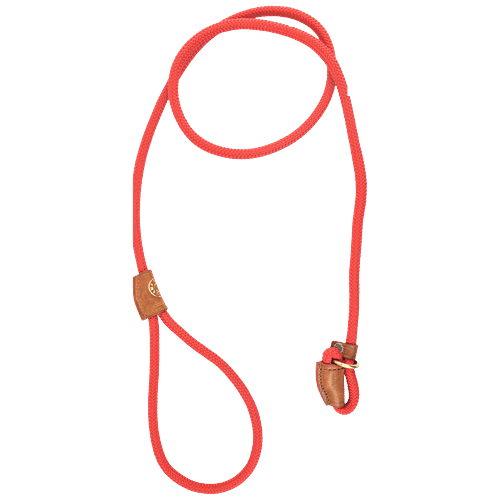 Buy Vama Leathers Dog Training Slip Leash Heavy Duty Rope, Brass Ring, 1 cm x 5 Feet, Bright