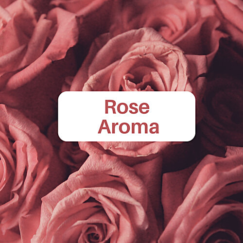 Rinsl Floor Cleaner - Rose, Kills Germs, Removes Dirt, Stains, 1 L  SAFE AND FRIENDLY
 KILLS 99.9% GERMS