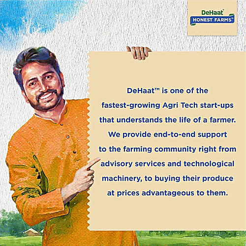 Dehaat Honest Farms Unpolished Urad Whole - Pesticide Free, 500 g  