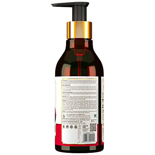 Atulya Plum Shampoo - With Amla & Brahmi, Prevents Frizziness, Strengthens, 300 ml  