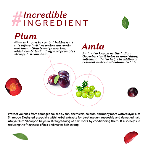 Atulya Plum Shampoo - With Amla & Brahmi, Prevents Frizziness, Strengthens, 300 ml  