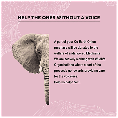 ColorBar Co-Earth Onion Conditioner - For Strengthening, Softening & Shine, 300 ml  