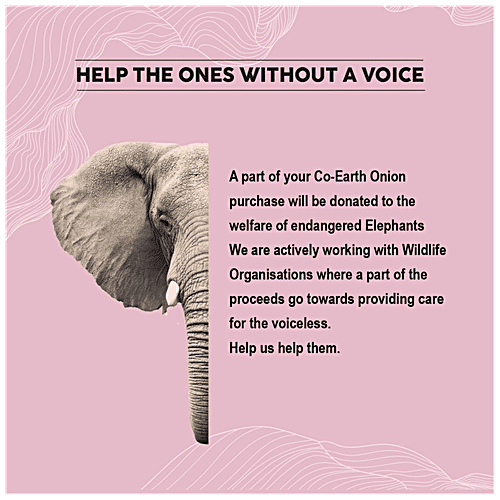 ColorBar Co-Earth Onion Hair Mask - For Hair Fall Control & Shine, 200 g  