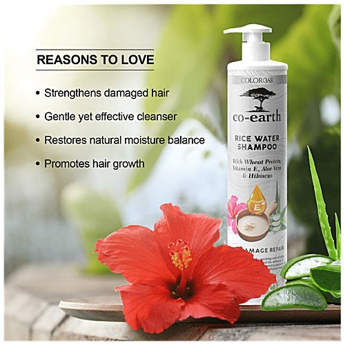 Buy ColorBar CoEarth Rice Water Shampoo Promotes Hair Growth, For