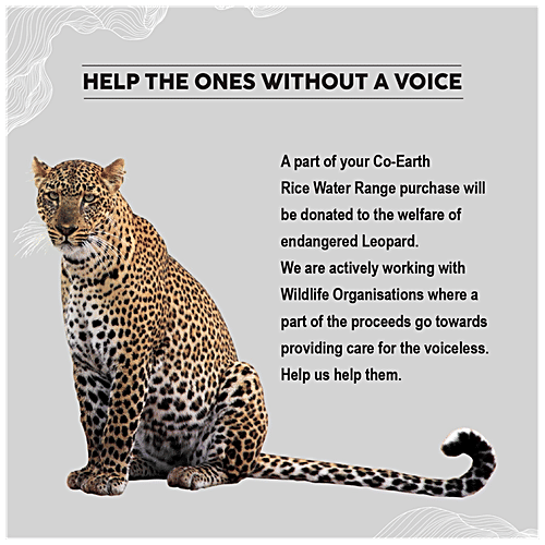 ColorBar Co-Earth Rice Water Hair Spray - For Damage Repair & Shine, 100 ml  