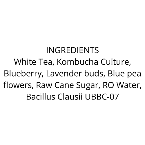 Bombucha Blueberry Lavender Kombucha - Probiotic Sparkling Fermented Tea, Ready To Drink, 500 ml  