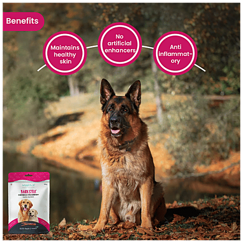Wiggles.in Barkstix Dog Treats For Training Adult Puppies - Soft Chew Stick Hip, Skin & Coat, Chicken & Strawberry, 400 g