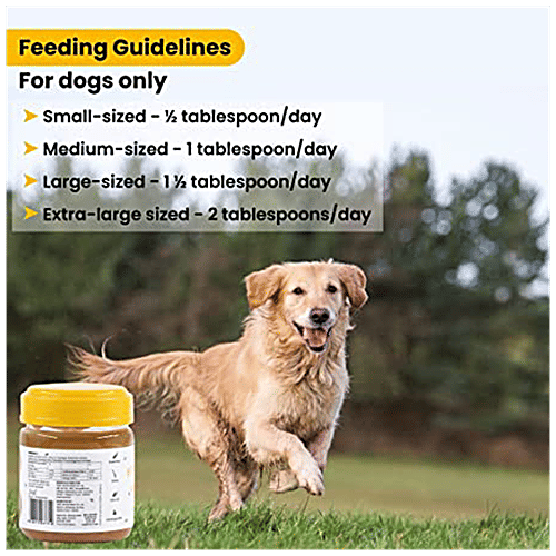 Buy Wiggles.in Wiggles Dog Peanut Butter Treats Healthy, Ashwagandha