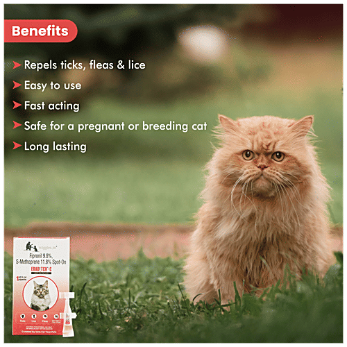 Wiggles.in Eraditch Spot On For Cats Fleas Ticks Remover Treatment Drops - Over 3 Months, 0.5 ml